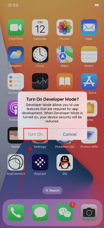 Turn on The Developer Mode